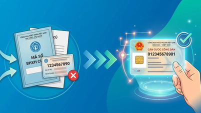 Uw persoonlijke identificatienummer gebruiken in plaats van uw verzekeringscode: Wat u moet doen vóór 1 september.
