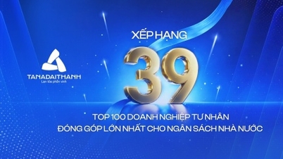 Tan A Dai Thanh entra en el Top 39 de PRIVATE 100, consolidando el impulso de crecimiento de tres áreas comerciales clave.