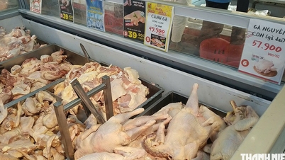 Pourquoi les importations de viande ont-elles fortement augmenté ?