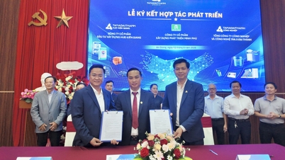 Construyendo una cadena de valor sostenible: Un paso adelante en la alianza estratégica entre Tan A Dai Thanh Group y Minh Phu Company.