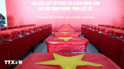 Vu Lan Festival 2026 - From the gratitude to parents to the strength of our roots.