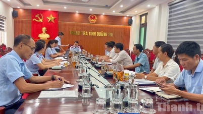 Quang Tri: Four businesses inspected for compliance with laws on natural resources and environment.