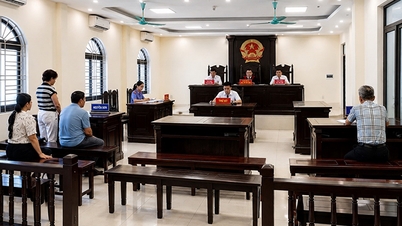 Coordenar a organização de um julgamento cível em primeira instância com o objetivo de aprender com a experiência.