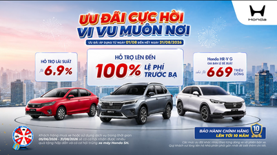 Programa de promoción de automóviles de agosto de 2026: OFERTAS INCREÍBLES: VIAJA A TODAS PARTES