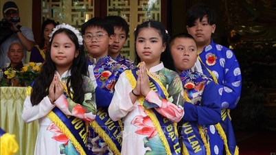 Preserving the tradition of gratitude and connecting the Vietnamese community in Germany.