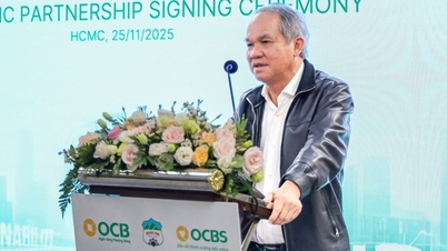 A Hoang Anh Gia Lai, empresa pertencente ao presidente Duc, viu seu lucro diminuir em 164 bilhões de VND após auditoria.