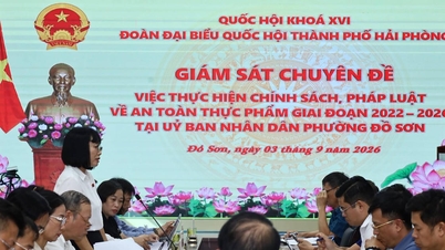 ហៃផុង៖ ត្រួតពិនិត្យការអនុវត្តគោលនយោបាយ និងច្បាប់ស្តីពីសុវត្ថិភាពចំណីអាហារនៅដូសើន។
