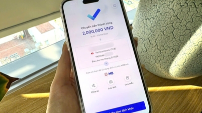 בעוד שהבעל מרוויח מיליארדי דונג בשנה, האישה נותנת לחמיה וחמותה רק 2 מיליון דונג לחודש.