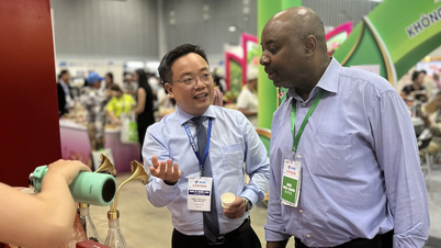 Vad letar internationella köpare efter i vietnamesiska produkter?