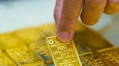 Precios del oro hoy, 7 de septiembre de 2026: El oro en SJC cae a entre 143,5 y 146,5 millones de VND por onza, y continúa su descenso.