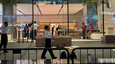 Le Vietnam pourrait commercialiser la série iPhone 18 Pro le même jour que les États-Unis et la Chine.