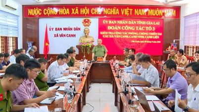 Examen des plans d’intervention en cas de catastrophe dans les trois communes de Van Canh, Canh Vinh et Canh Lien.