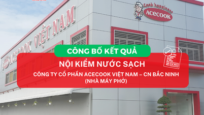 ANUNCIO DE LOS RESULTADOS DE LA INSPECCIÓN INTERNA DE LA CALIDAD DEL AGUA DE LA SOCIEDAD ANÓNIMA ACECOOK VIETNAM – SUCURSAL BAC NINH