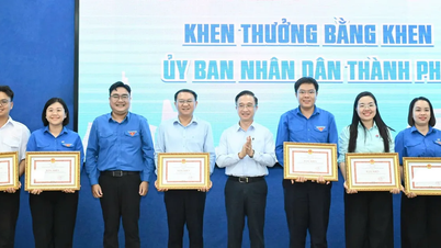 "Digital Summer" aims for regular activities in administrative reform.