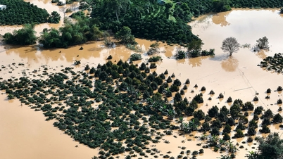 Flooding in Lam Dong province caused approximately 3 billion VND in damage.