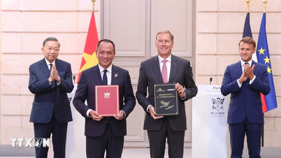 Vietnam Havayolları, büyüme beklentisiyle 2030'dan sonra geniş gövdeli uçak filosunu genişletmeyi planlıyor.