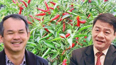 A HAGL Agrico acumulou prejuízos de 13,2 trilhões de VND, e o nome do presidente Duc não está mais associado à empresa.