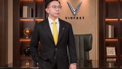 VinFast ve GSM Global beklenmedik bir şekilde yeni bir lider atadı.