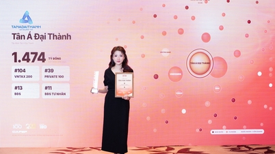 Tan A Dai Thanh fue reconocida como una de las 39 empresas privadas que más contribuyen al presupuesto estatal de Vietnam.