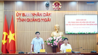 V Quang Ngai pracuje ústřední monitorovací delegace Vietnamské asociace farmářů.