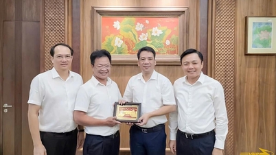 Huế và Đường sắt Việt Nam nghiên cứu khai thác tàu hơi nước Huế - Đà Nẵng