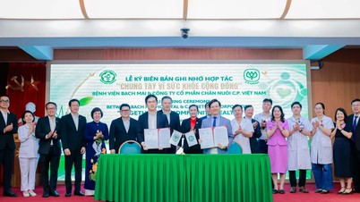 CP Vietnam y el Hospital Bach Mai amplían su cooperación en materia de salud pública.