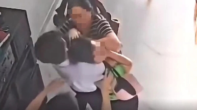 Official information regarding the case of a 7th-grade male student assaulting his aunt in Phu Quoc.