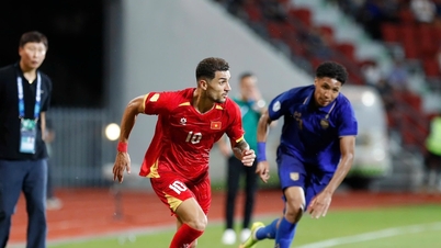 Vietnam's squad for the FIFA ASEAN Cup: Two new overseas Vietnamese players included.