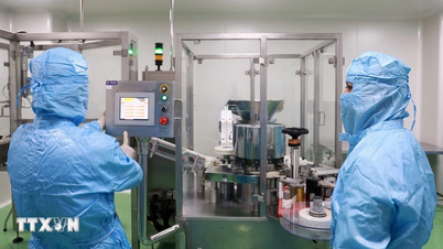 Khanh Hoa creates a talent attraction for the development of science and technology.
