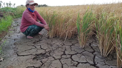 Responding to Super El Nino: We cannot wait until the dry season to combat drought.