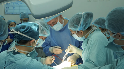 For the first time, brainstem auditory electrodes have been implanted in children with severe congenital deafness.