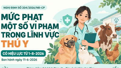 Penalties you should know in the field of veterinary medicine