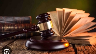Şirket, öz sermayesinin yedi katına sahip olmasına rağmen, tahvil yoluyla 1,5 trilyon VND toplamayı planlıyor.