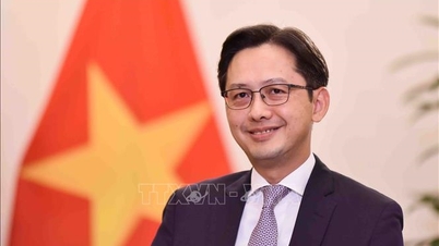 Củng cố lòng tin, mở rộng hợp tác đóng góp cho tương lai chung của nhân loại