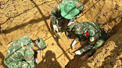 De stoffelijke resten van gesneuvelde soldaten zijn aangetroffen naast hulzen van AK-geweerpatronen in een landbouwgebied in Hoi An.