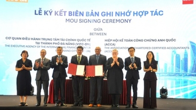 Het Da Nang International Finance Center zal een platform worden dat internationale kapitaalstromen met elkaar verbindt.