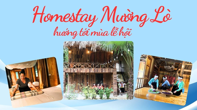 Homestay Muong Lo تہوار کے موسم کی تیاری کر رہا ہے۔