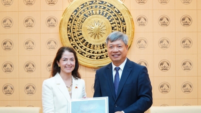 Da Nang intensifierar samarbetet och kultur- och turismutbytena med Colombia.