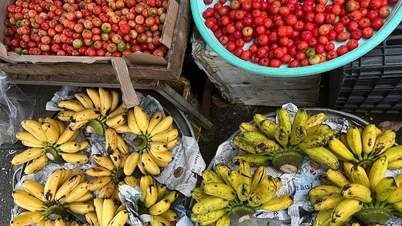 Mercados improvisados ​​na cidade de Ho Chi Minh: tomates a 10.000 VND/kg, ovos a 24.000 VND/dúzia – os estudantes adoram porque são muito baratos.