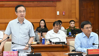 Hô Chi Minh-Ville : L'organisation et la numérisation des documents sont achevées afin d'accélérer la transformation numérique.