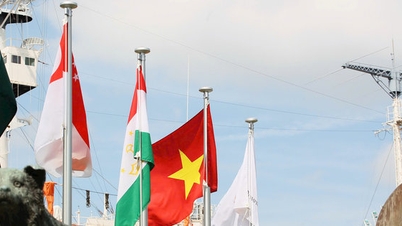 ទង់ជាតិវៀតណាម​បក់​នៅ​កំពង់ផែ Nagoya មុន​ការប្រកួត​កីឡា​អាស៊ី​លើក​ទី 20។