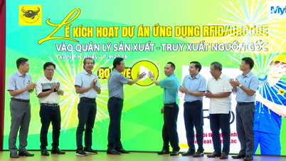 บริษัท Binh Dien กำหนดรหัสเฉพาะให้กับผลิตภัณฑ์ Dau Trau (หัวควาย) แต่ละชิ้น