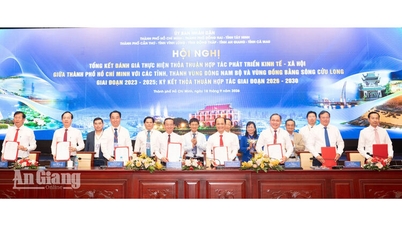 An Giang identifies key areas for linkage with Ho Chi Minh City in the 2026-2030 period.