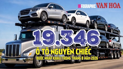 8월 자동차 수입량 19,346대: 예상치 못한 30.1% 감소.
