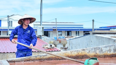 Giữ vị mắm truyền thống Cát Hải