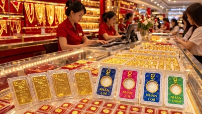 Gold price today (9999) this afternoon, September 18, 2026: 9999 gold price, DOJI ring price.