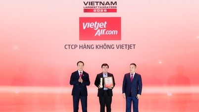 Vietjet lidera las contribuciones fiscales entre las aerolíneas privadas y las empresas de logística.