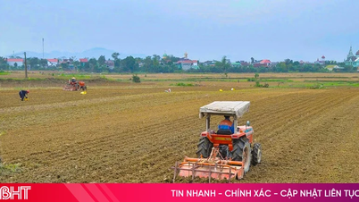 Hà Tĩnh linh hoạt sản xuất vụ đông, nâng cao chất lượng nông sản