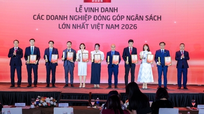 VNG ha sido reconocida como una de las 33 empresas privadas que más contribuyen al presupuesto estatal de Vietnam.