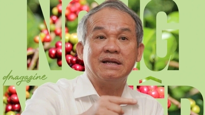 Preços dos produtos agrícolas hoje (19 de setembro): queda nos preços do durião, expansão da plantação de café da Bau Duc.